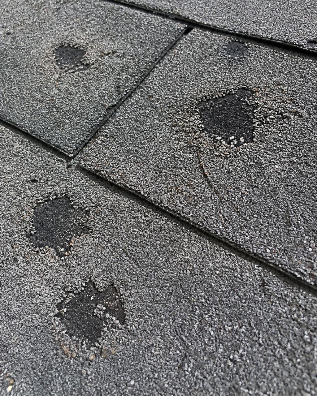 Close-up of hail impact bruises on asphalt shingles with granule loss